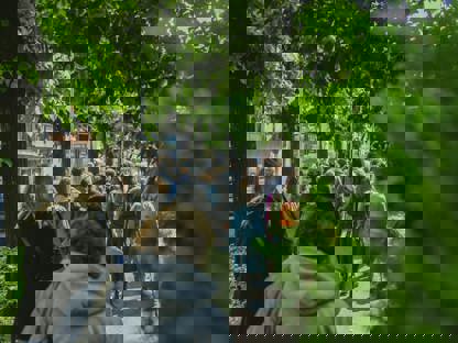 Manifeste