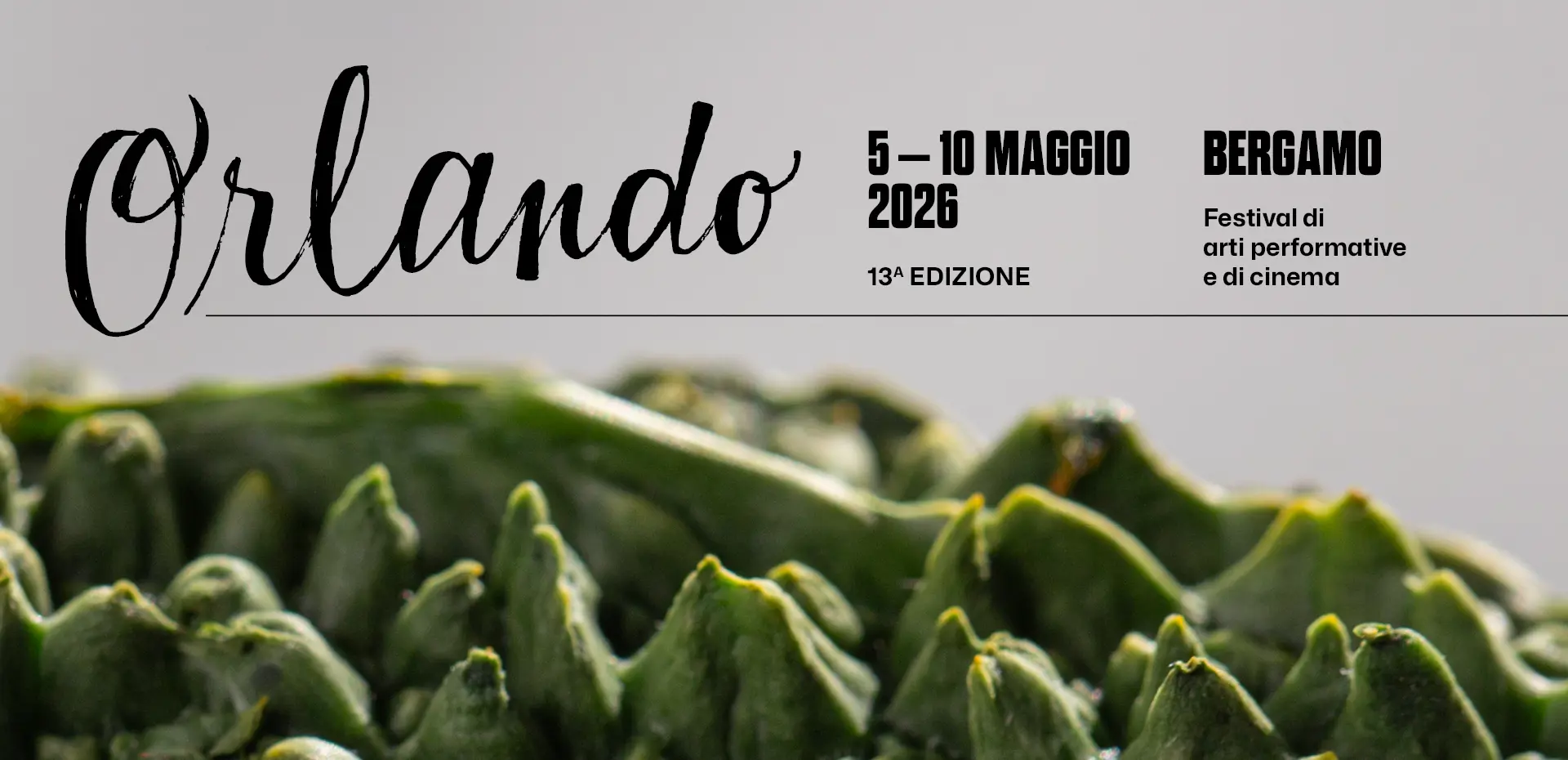 Elementi verdi e irregolari, densi e appuntiti, ripresi in macro contro uno sfondo grigio uniforme, atmosfera neutra e contemplativa che trasforma forme vegetali in paesaggio astratto e materico.